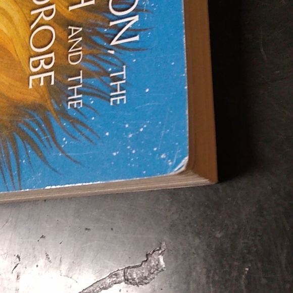 Lion Witch Wardrobe Chronicles Narnia C S Lewis Fantasy Children's Chapter Book - Picture 4 of 8